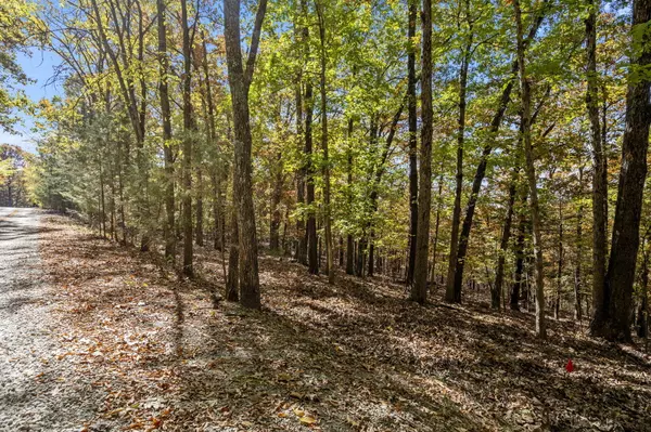 Branson, MO 65616,Tbd Old Southern Rd