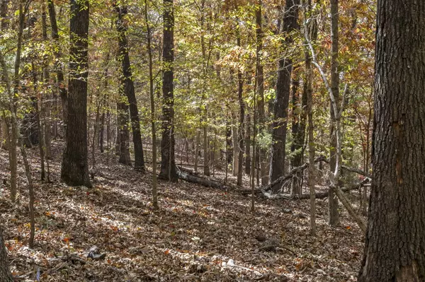 Branson, MO 65616,Tbd Old Southern Rd