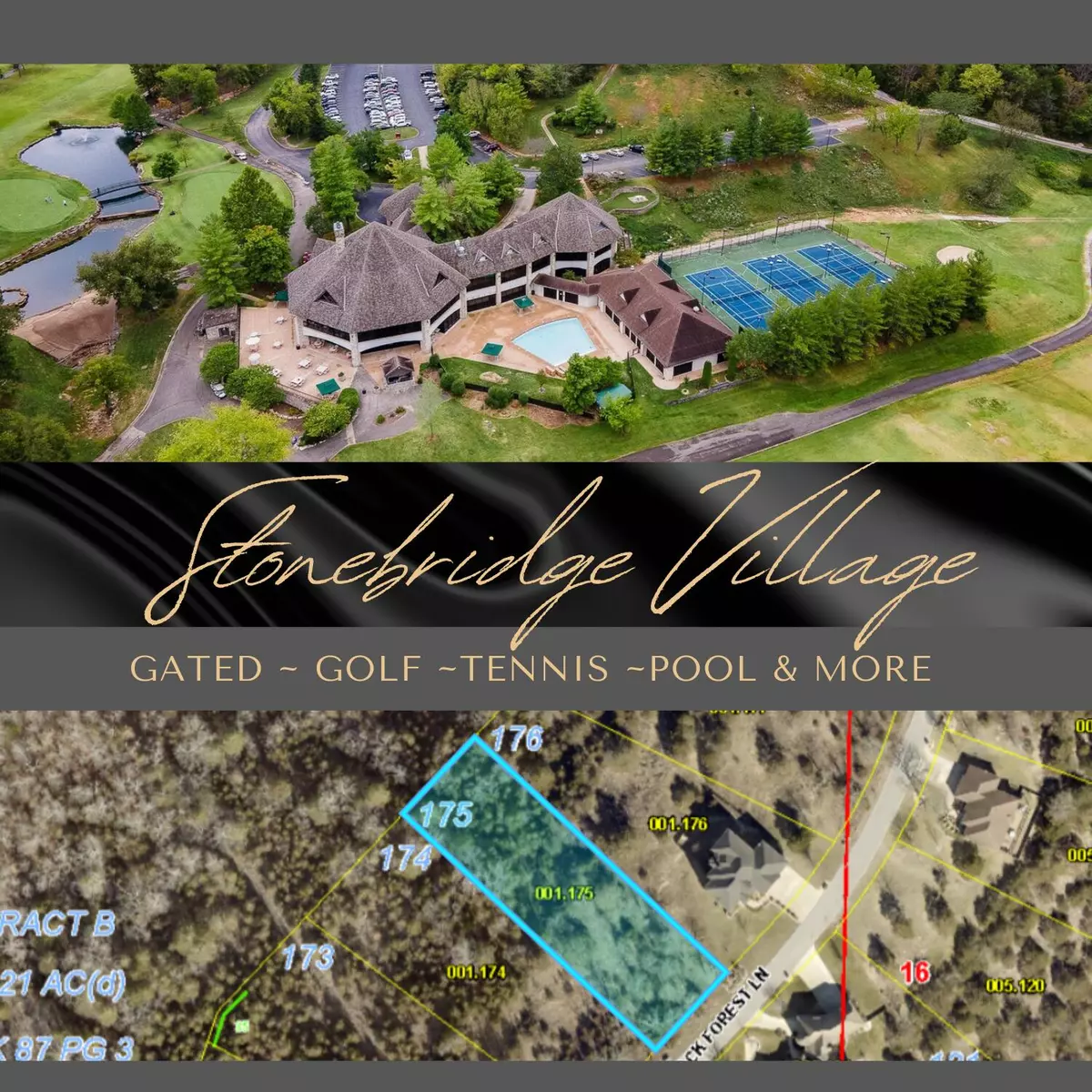 Branson West, MO 65737,Lot 175 Black Forest LN
