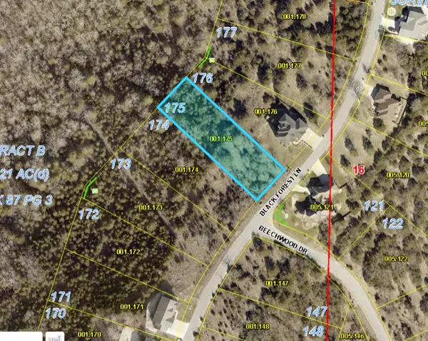 Branson West, MO 65737,Lot 175 Black Forest LN