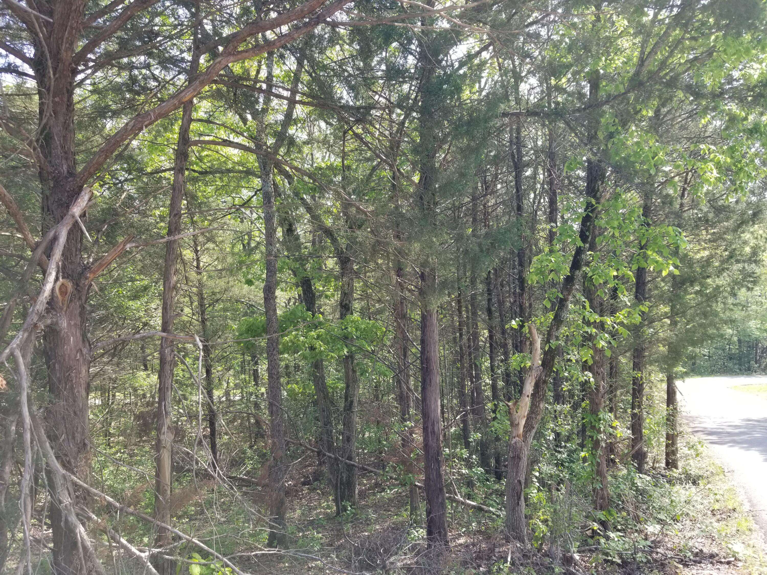 Gainesville, MO 65655,00 1.47 Acres On Greenbriar St.
