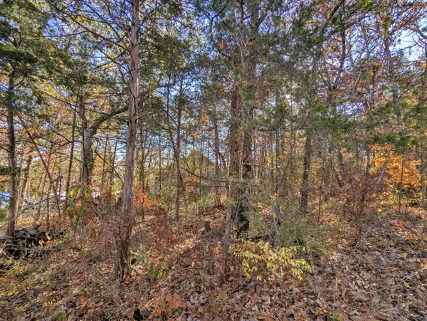 Rockaway Beach, MO 65740,000 Lot 69 And 70 Bluebird RD