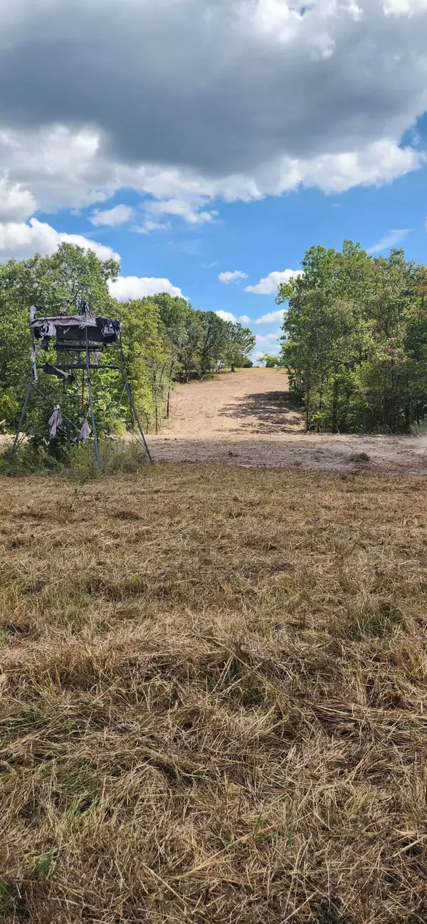 Ava, MO 65608,12879 State Hwy O HWY