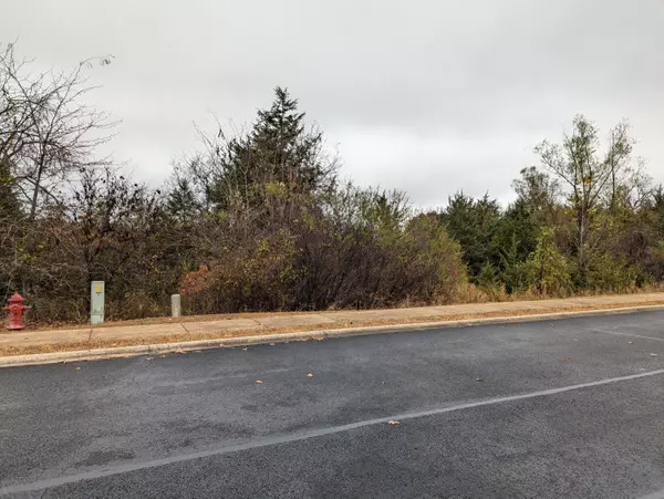 Branson, MO 65616,000 Spyglass Lot 29 DR