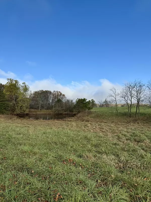 Seymour, MO 65746,000 Preston Hollow RD