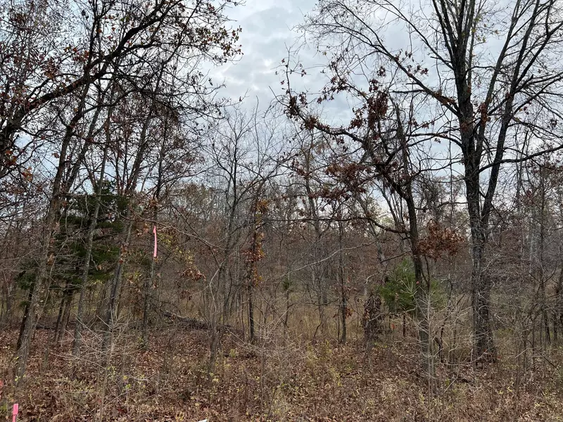 0 Partridge DR, Climax Springs, MO 65324