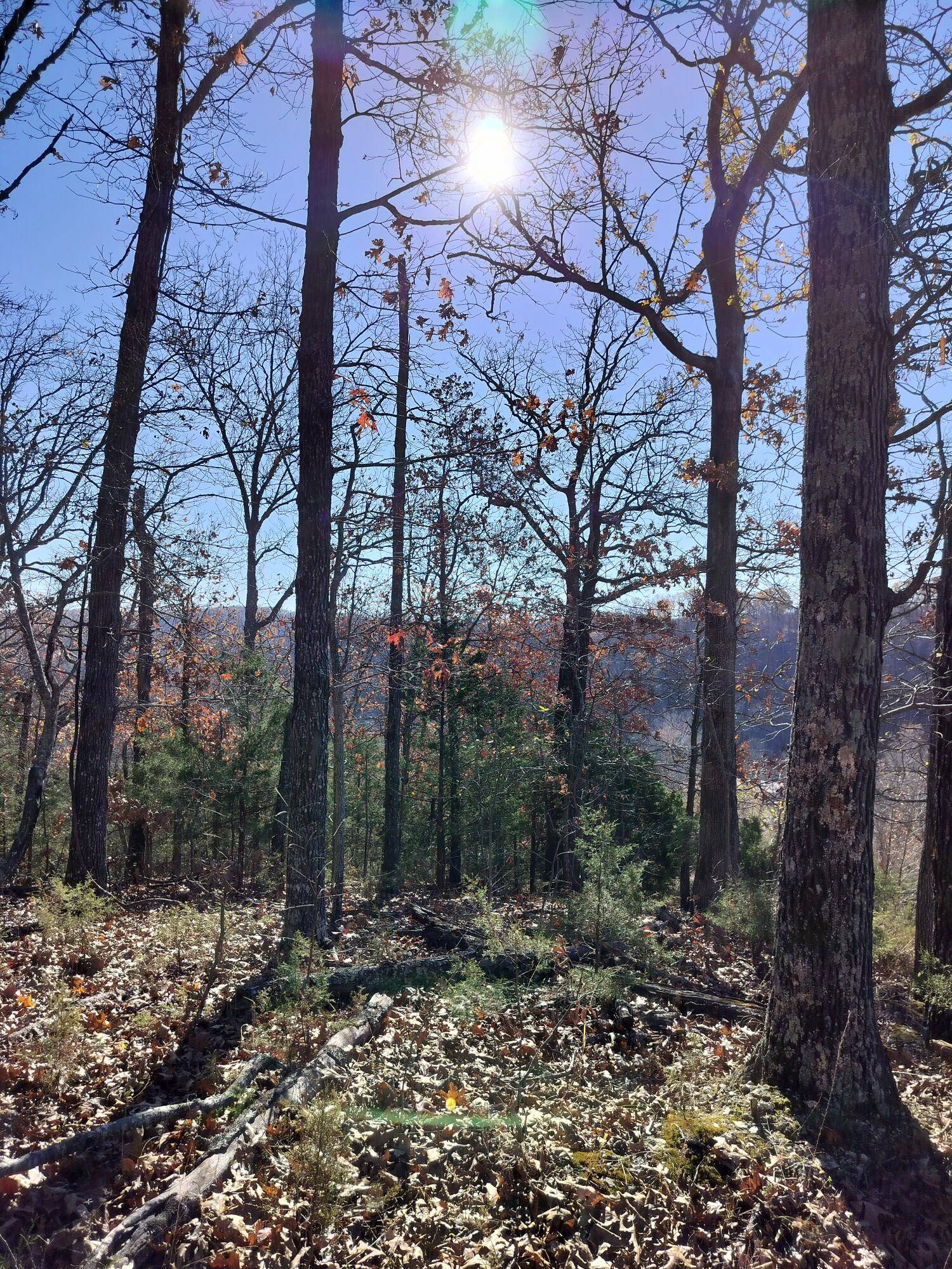 Highlandville, MO 65669,Lot 12 Buckskin