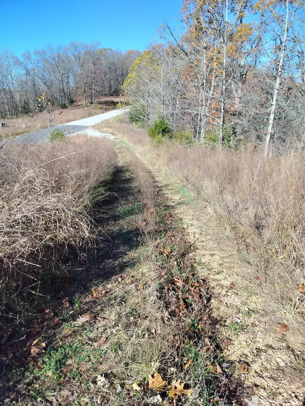 Highlandville, MO 65669,Lot 12 Buckskin