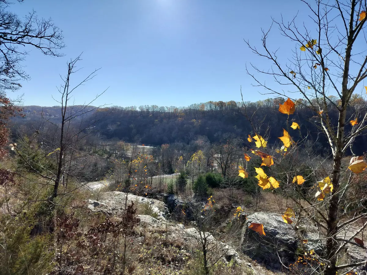 Highlandville, MO 65669,Lot 12 Buckskin