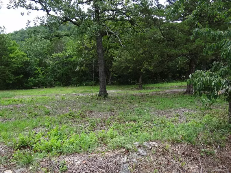 Tbd Holyoke ST, Hollister, MO 65672