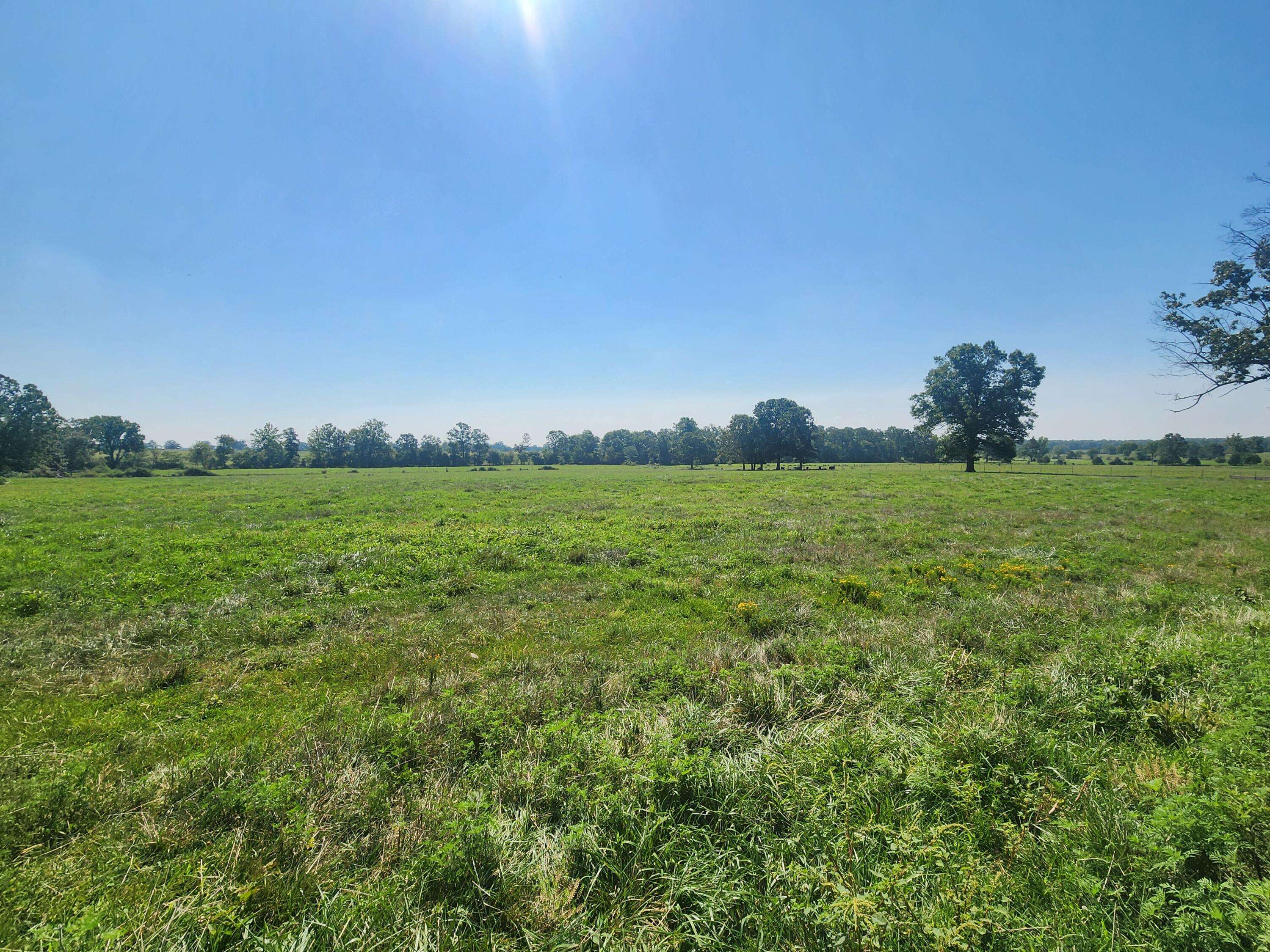 000 Us Highway 160, West Plains, MO 65775