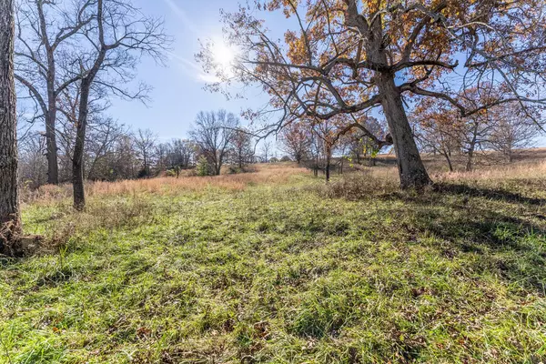 West Plains, MO 65775,12072 State Route E