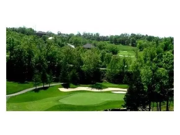 Branson West, MO 65737,844 Silvercliff Way