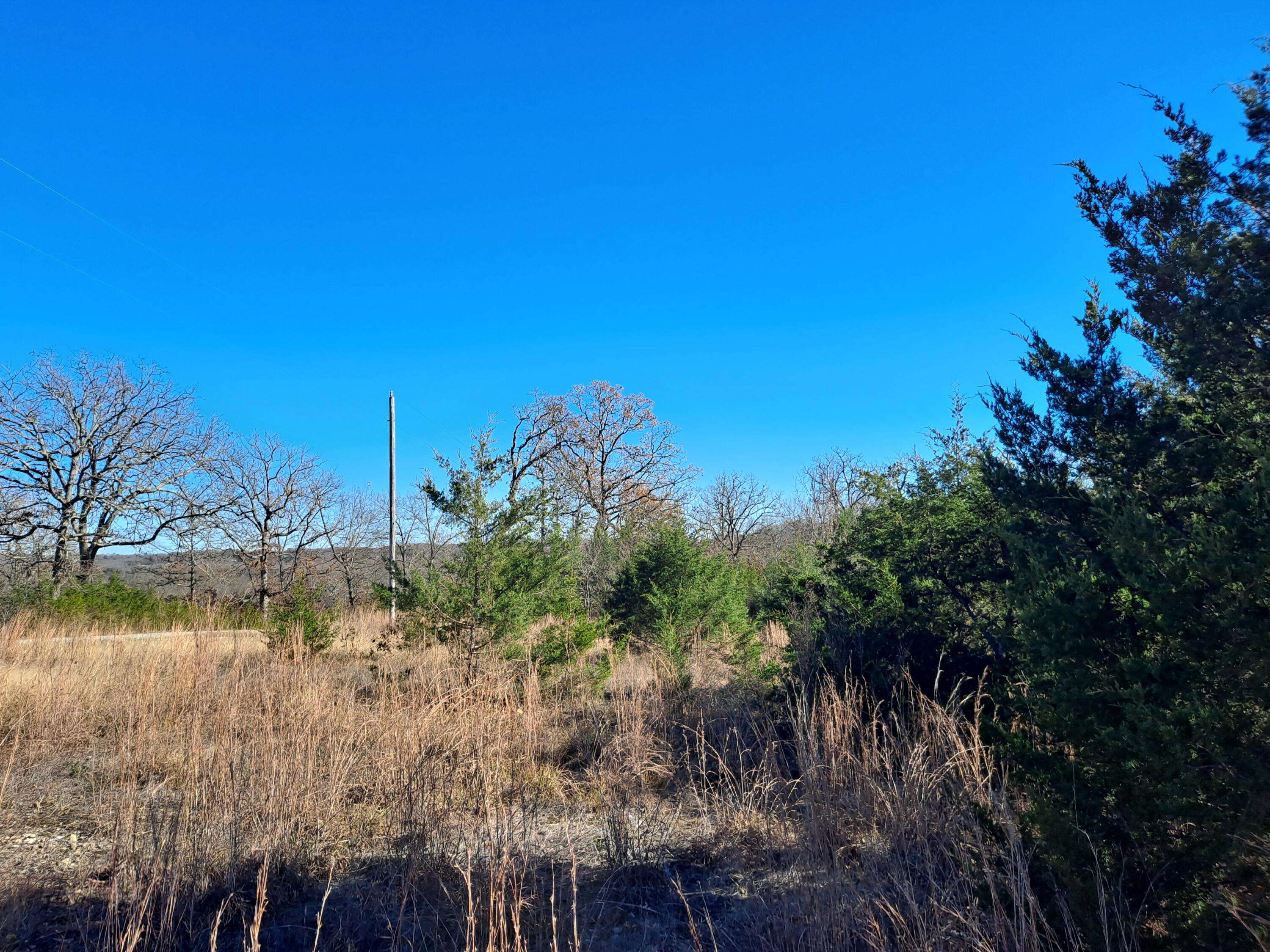 Forsyth, MO 65653,400 Shady Oaks Shore