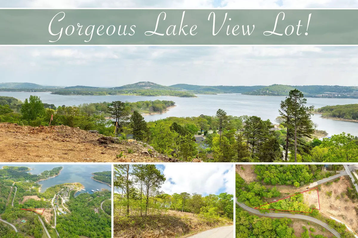 Blue Eye, MO 65611,Lot 2 Grizzly Ridge LN