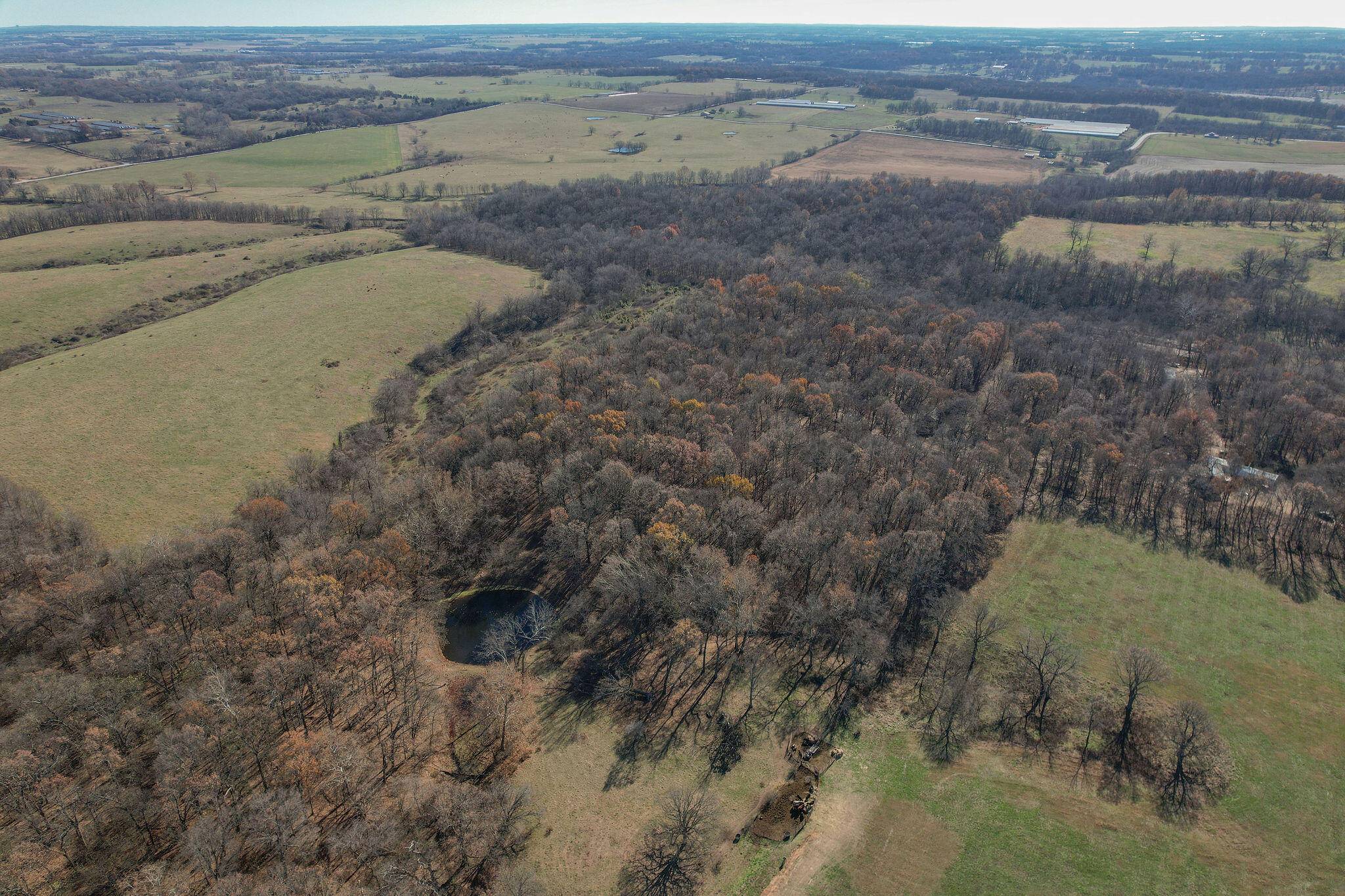 Stark City, MO 64866,15589 Highway O