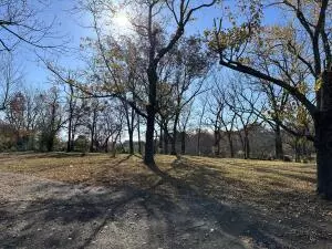 West Plains, MO 65775,312 E Maple ST