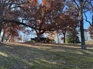 West Plains, MO 65775,312 E Maple ST