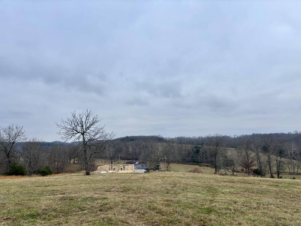 Mansfield, MO 65704,3262 London RD