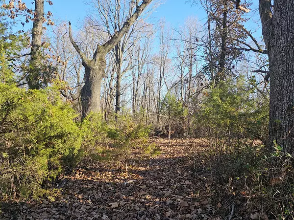 Pineville, MO 64856,20 Ac Jesse James RD