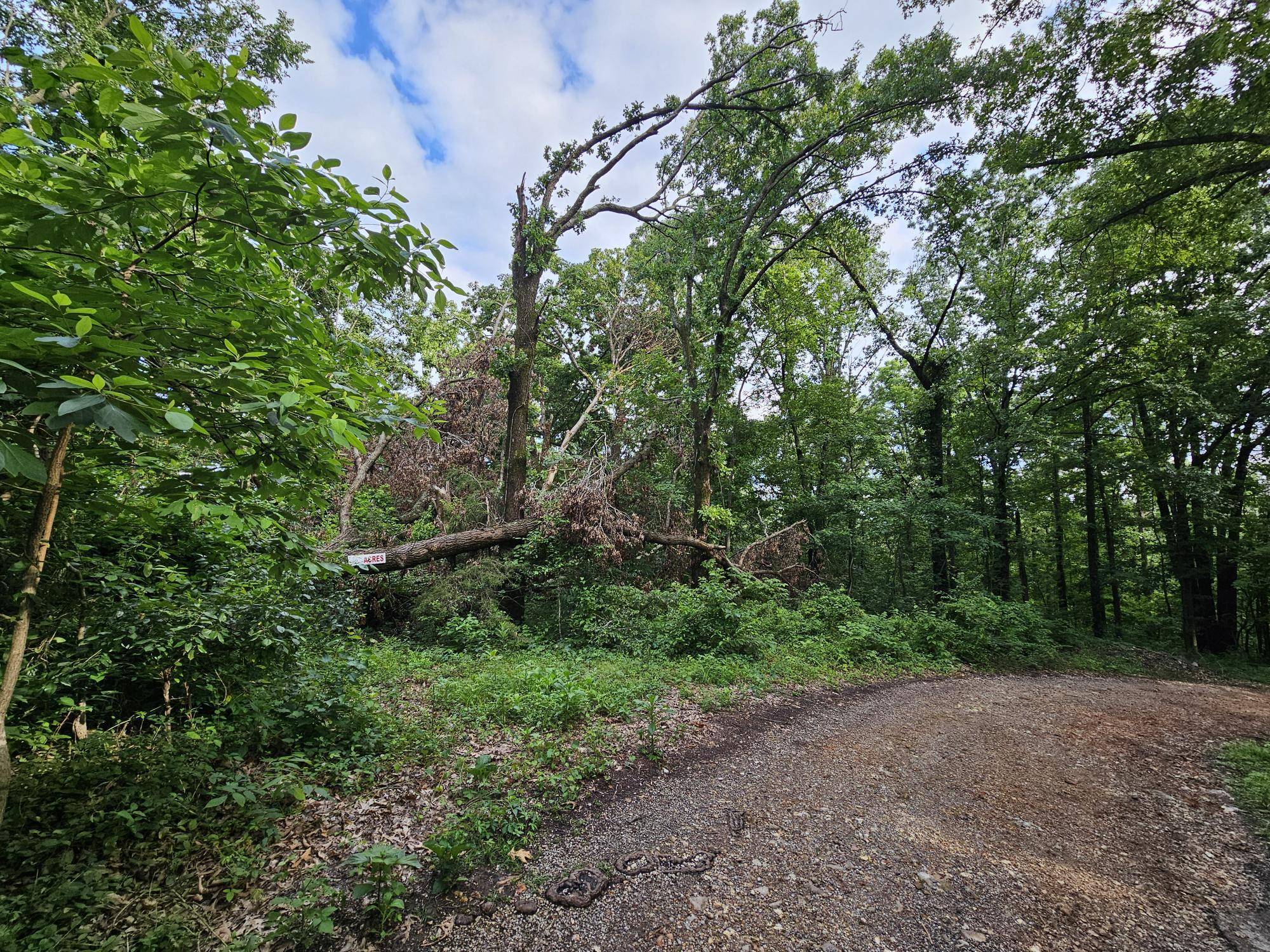Pineville, MO 64856,20 Ac Jesse James RD