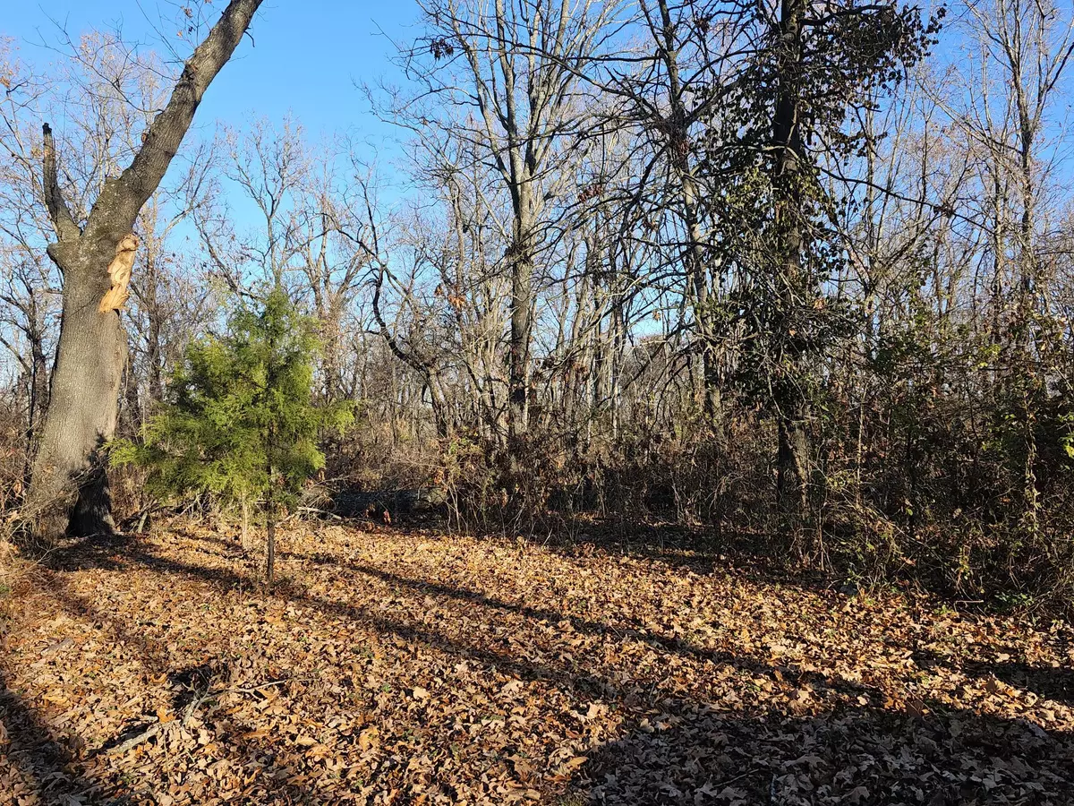 Pineville, MO 64856,20 Ac Jesse James RD