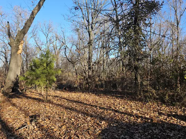 20 Ac Jesse James RD, Pineville, MO 64856