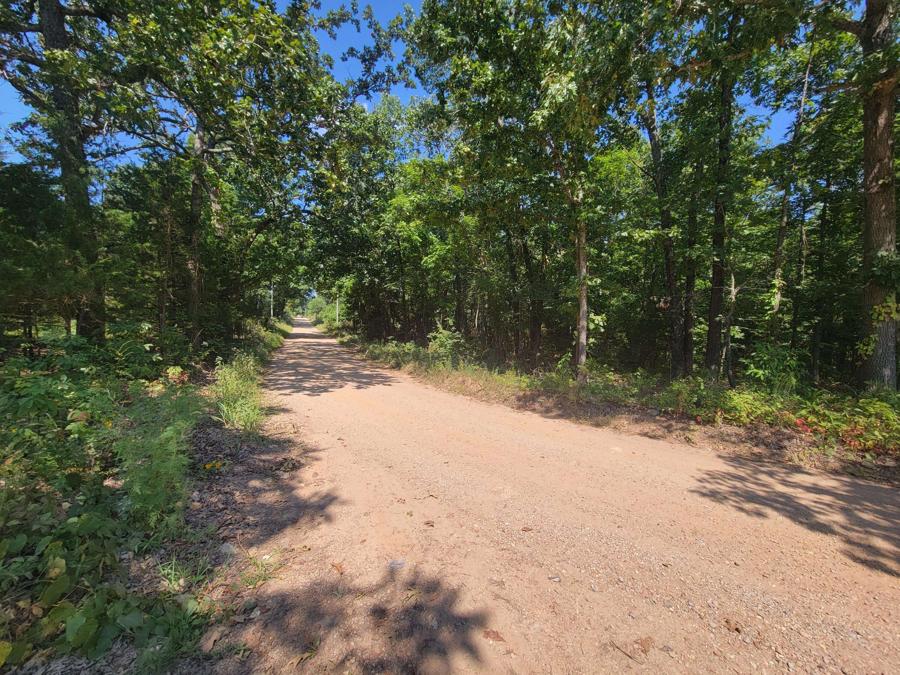 Alton, MO 65606,000 County Road 206