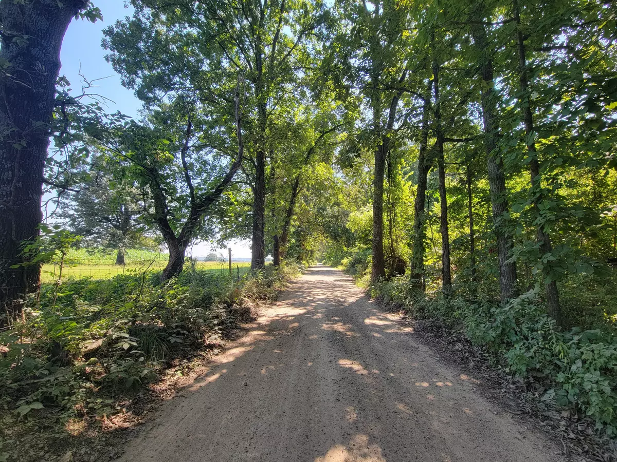 Alton, MO 65606,000 County Road 206