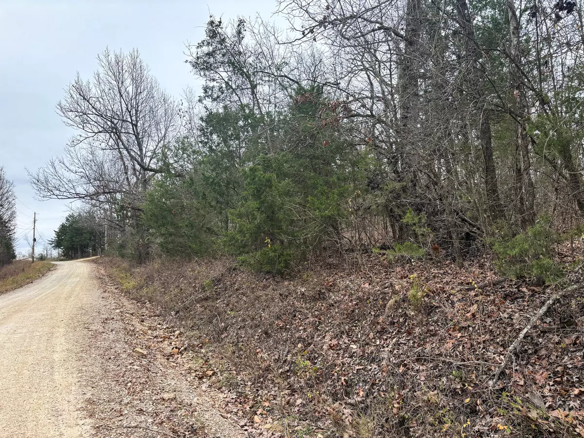 Theodosia, MO 65761,000 County Road 635