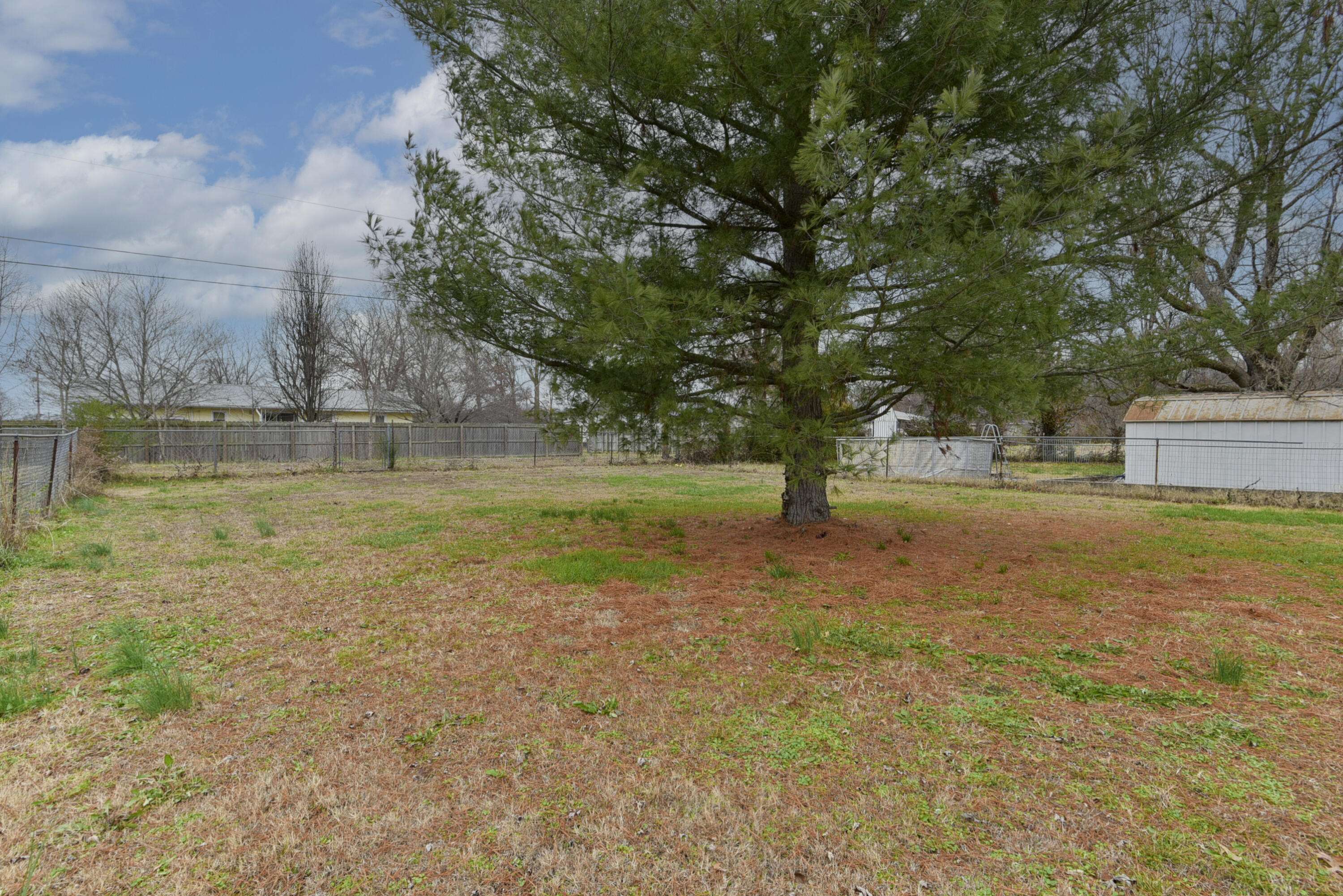 Cassville, MO 65625,1114 Ivey ST