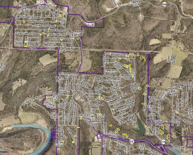 000 Orchard LN, Merriam Woods, MO 65740