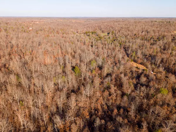 Birch Tree, MO 65438,9184 Murphy WAY