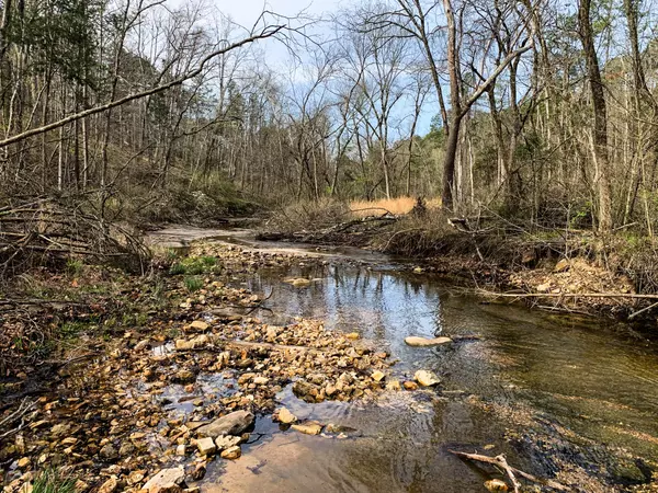 Dora, MO 65637,Address not disclosed