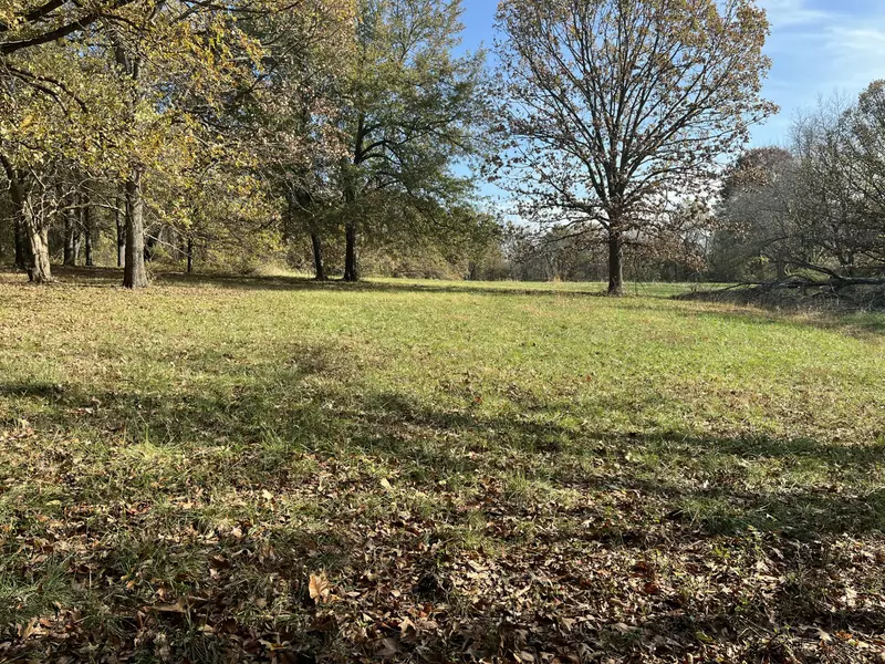 785 E Mag Motor LN, Springfield, MO 65803