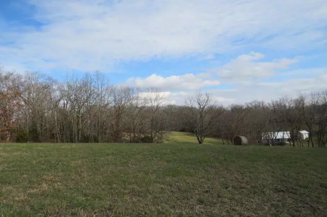 Ava, MO 65608,13343 S Private DR