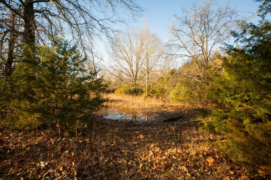 000 E Highway H, Stockton, MO 65785