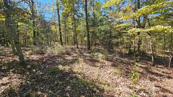 Theodosia, MO 65761,000 Rolling Hills Block 11 Lot 22