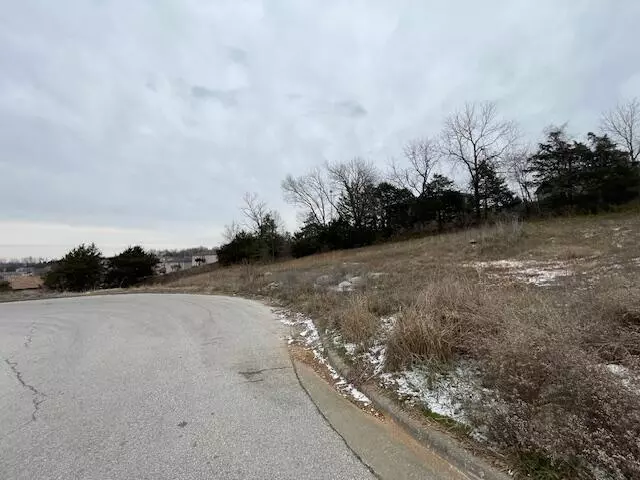Ozark, MO 65721,1410-1413 S Atlas CT