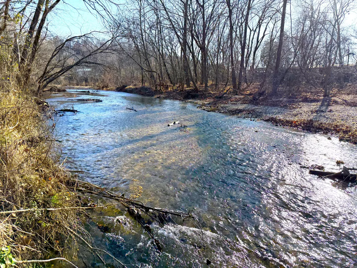 Powell, MO 65730,21.8 Acres Mikes Creek RD