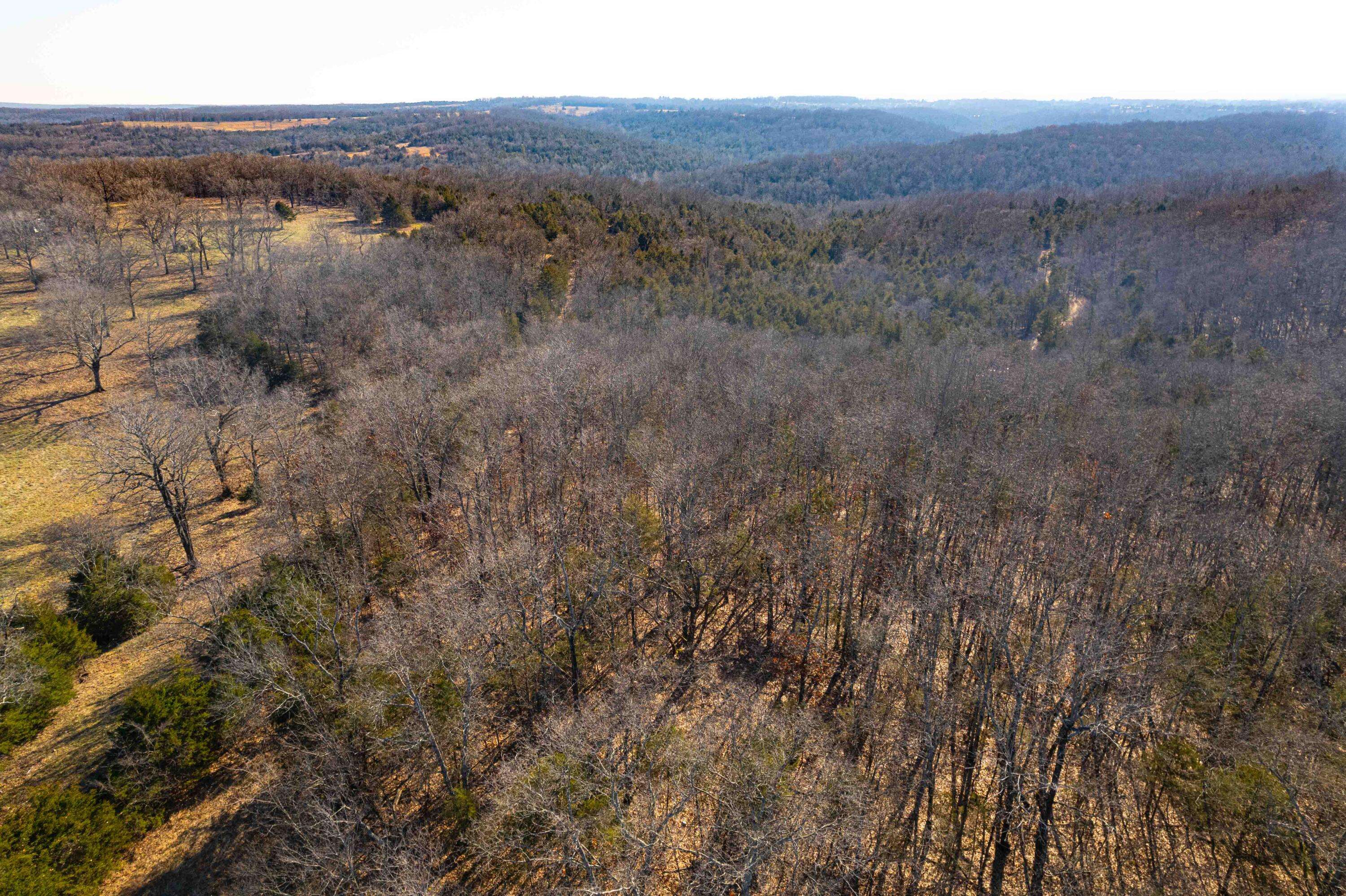 Forsyth, MO 65653,000 Burmingham RD