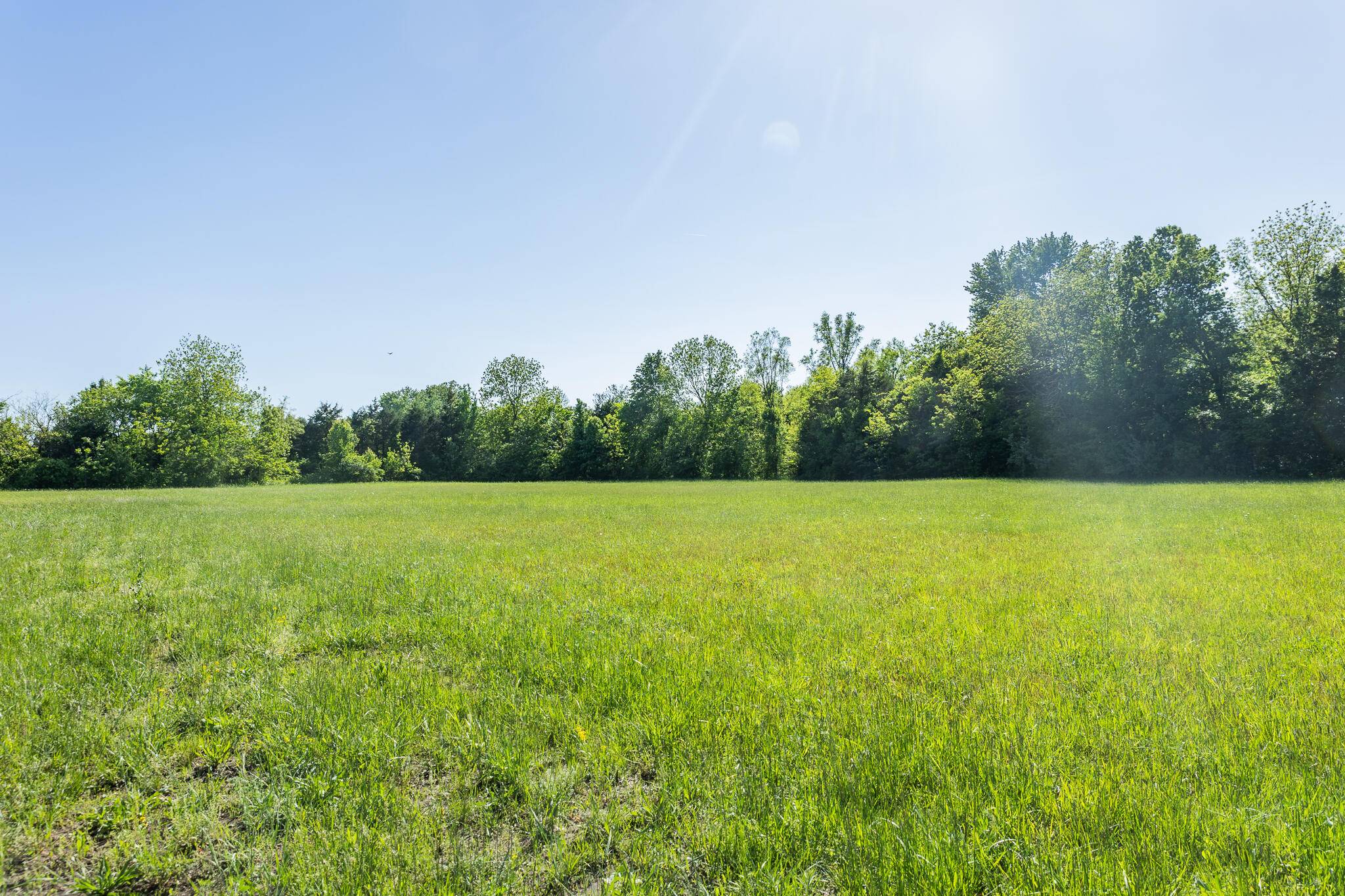 Buffalo, MO 65622,000 W Mill Street