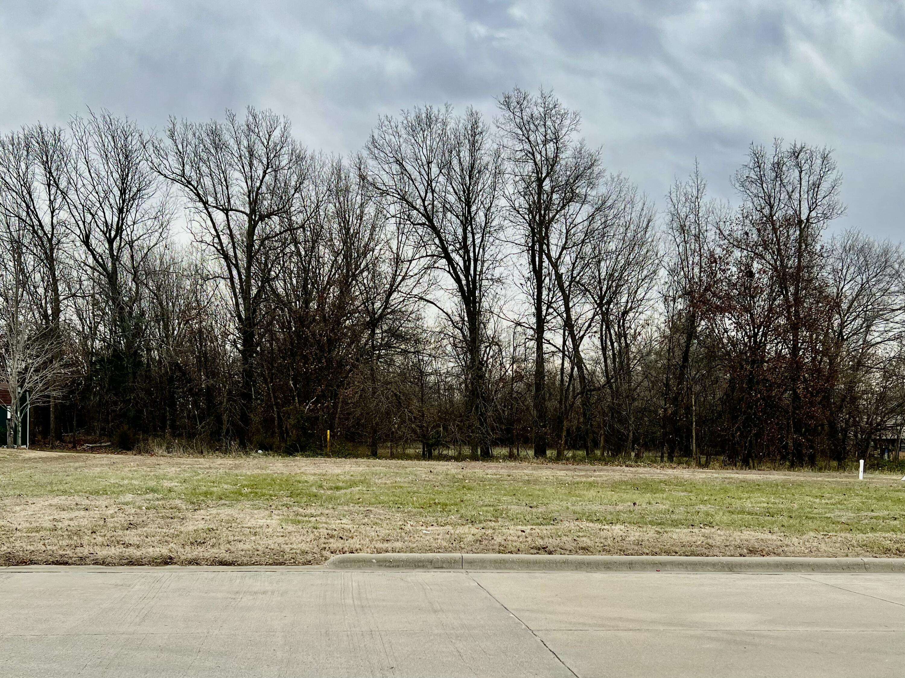 Bolivar, MO 65613,Lot 12 N Chicago AVE