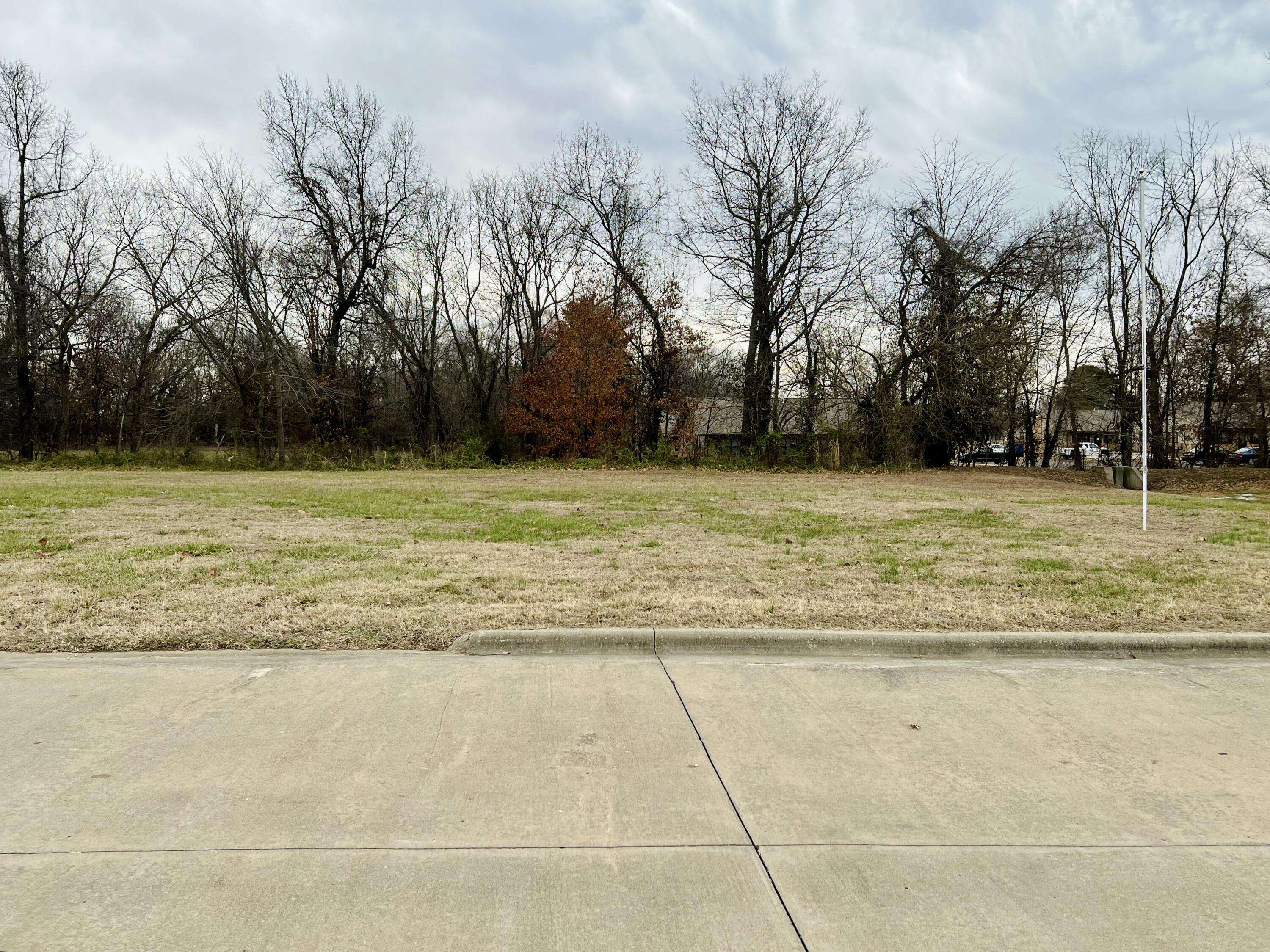 Bolivar, MO 65613,Lot 12 N Chicago AVE