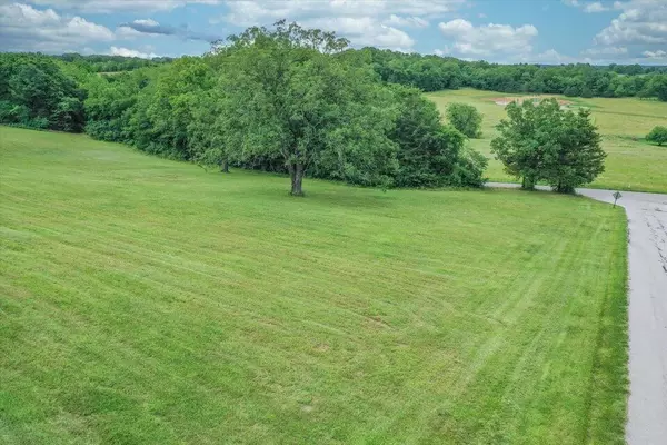 Ozark, MO 65721,Lot B Houghton DR