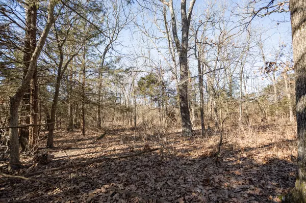 Seymour, MO 65746,000 Highway P