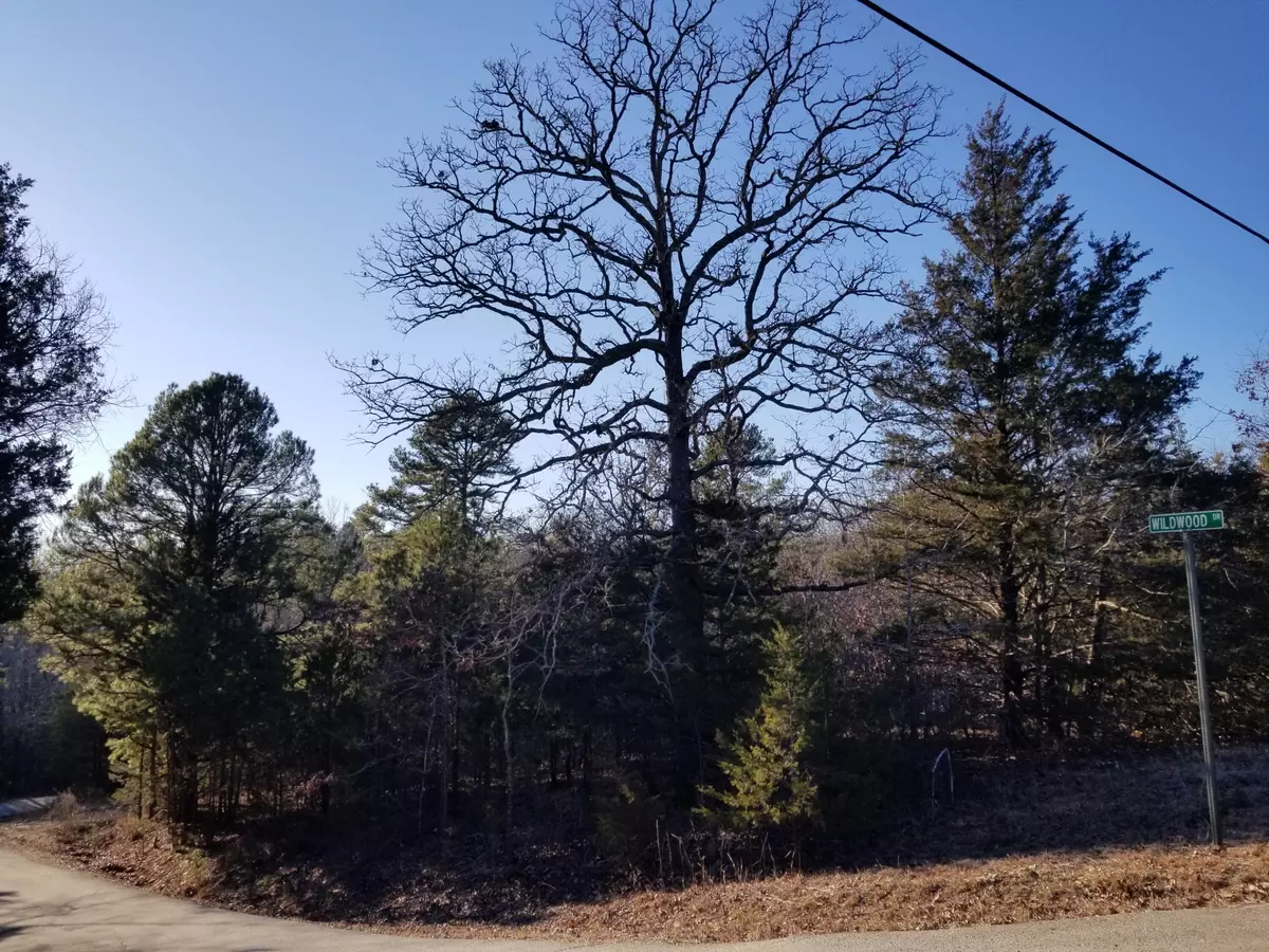 Gainesville, MO 65655,000 Greenbriar RD