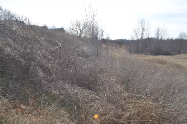 Nixa, MO 65714,Lot 112 S Black Sands AVE