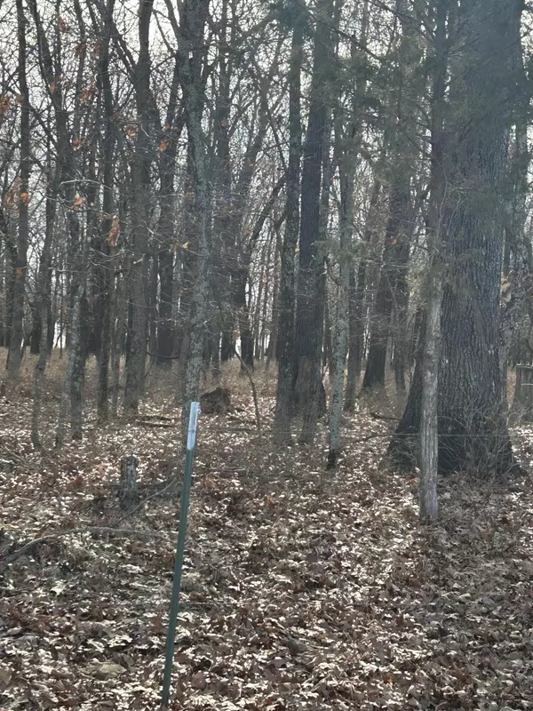 Springfield, MO 65803,000 N Farm Road 177