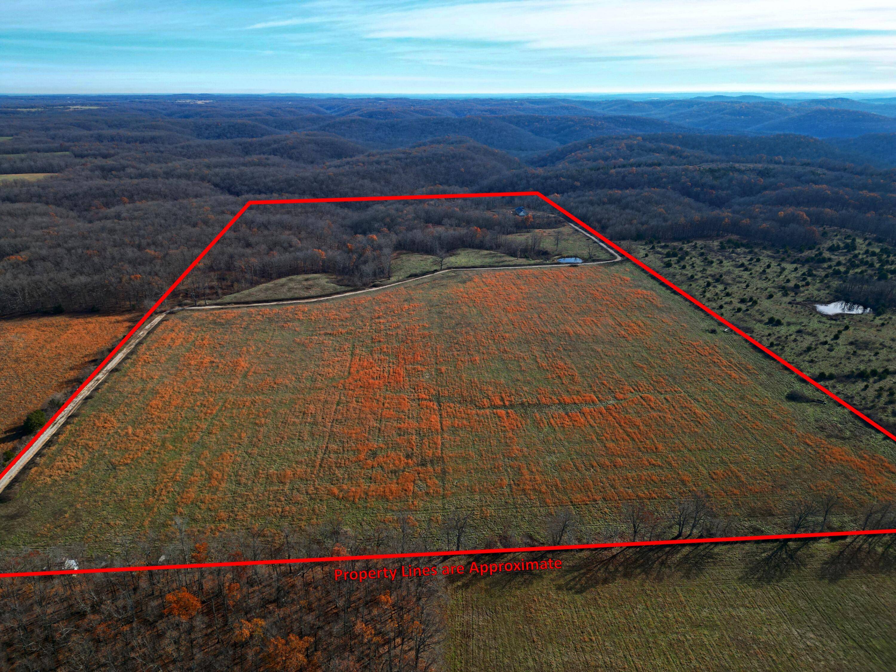 Seymour, MO 65746,000 Buckbrush Rd